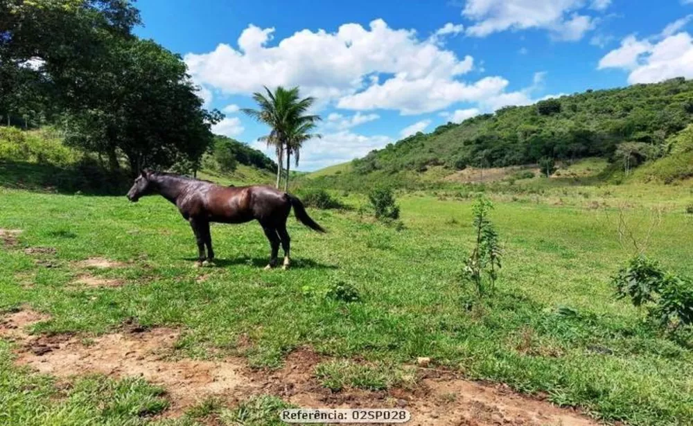 Sítio, 2 quartos, 24 hectares - Foto 8