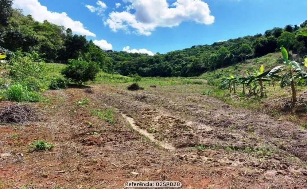 Sítio, 2 quartos, 24 hectares - Foto 6