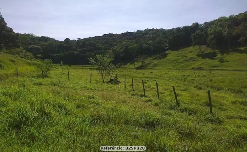 Sítio, 2 quartos, 24 hectares - Foto 4