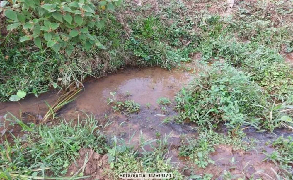 Sítio, 2 quartos, 15 hectares - Foto 14