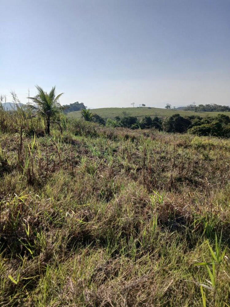 Sítio à venda com 1 quarto, 96000m² - Foto 4