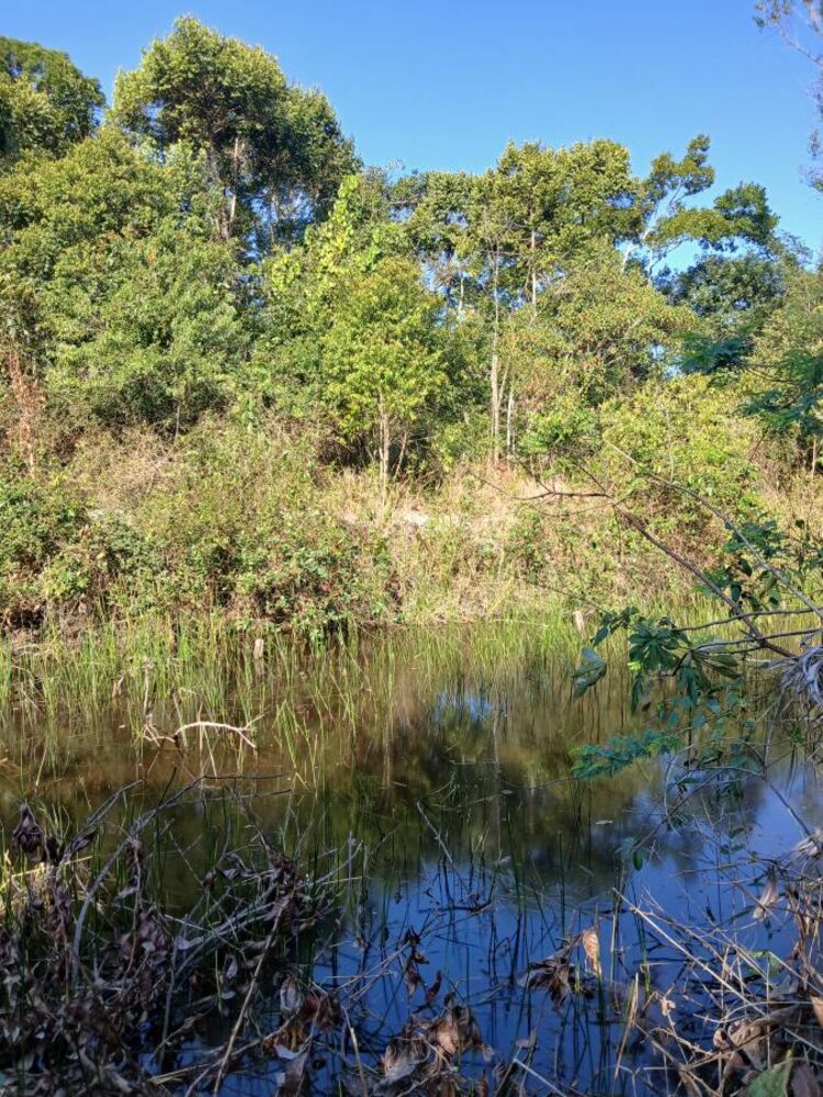 Sítio à venda com 1 quarto, 96000m² - Foto 3