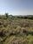 Sítio, 1 quarto, 10 hectares - Foto 4