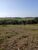 Sítio, 1 quarto, 10 hectares - Foto 2