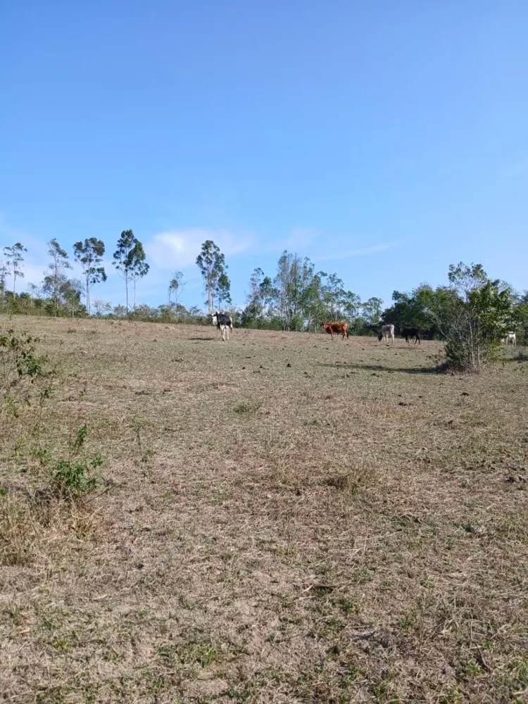 Sítio, 1 quarto, 10 hectares - Foto 17