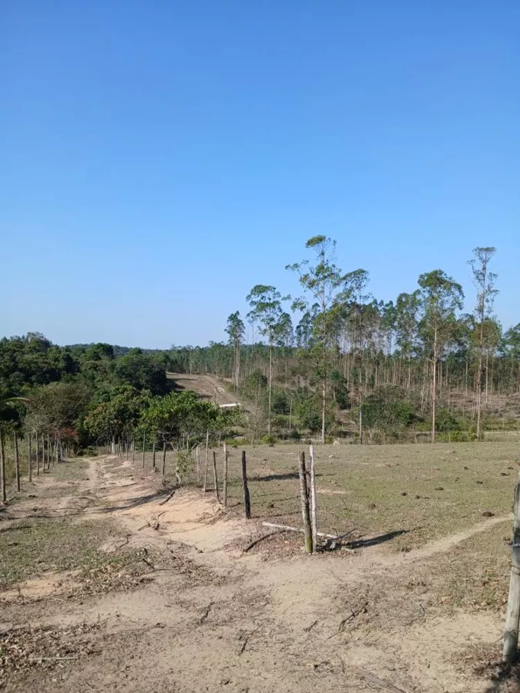 Sítio, 1 quarto, 10 hectares - Foto 14