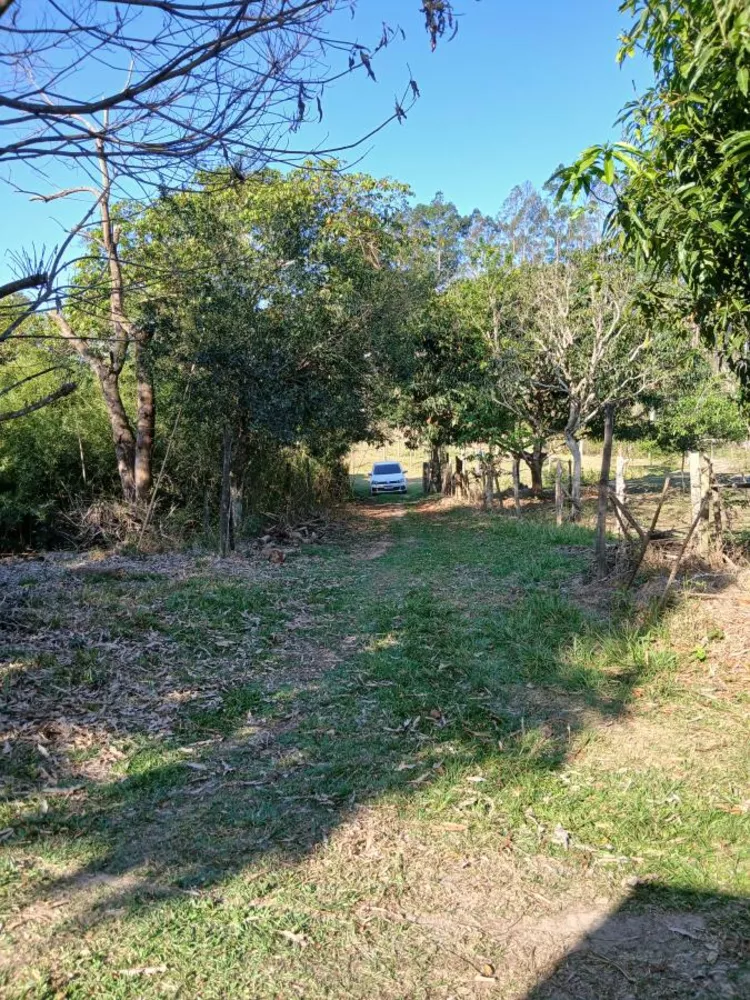 Sítio, 1 quarto, 10 hectares - Foto 7