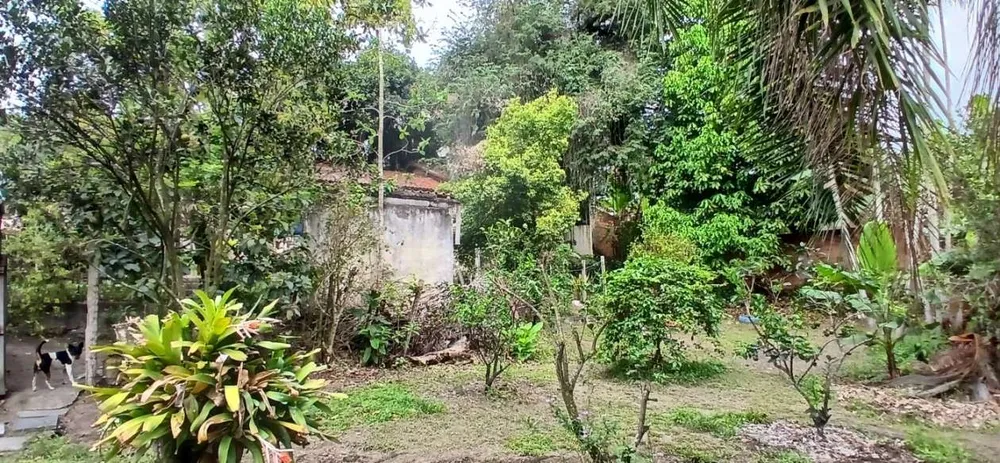 Sítio, 3 quartos, 4400 m² - Foto 44