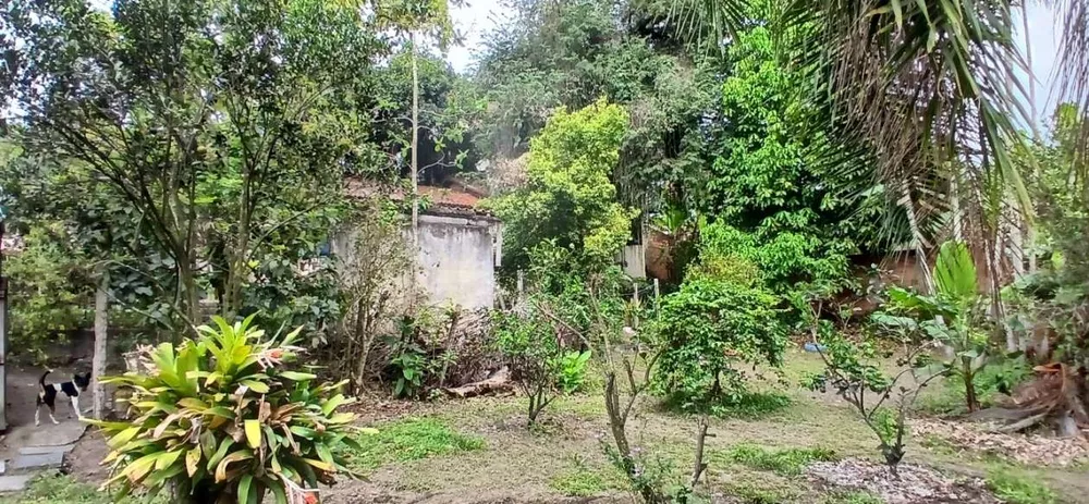 Sítio, 3 quartos, 4400 m² - Foto 7