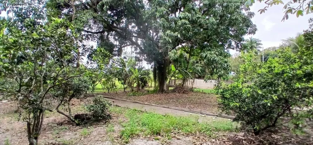 Sítio, 3 quartos, 4400 m² - Foto 12