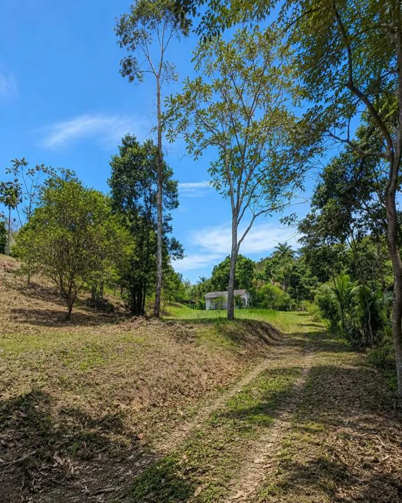 Sítio, 1 quarto, 4 hectares - Foto 60