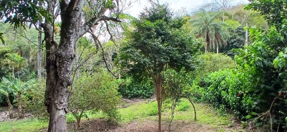 Sítio, 1 quarto, 4 hectares - Foto 32