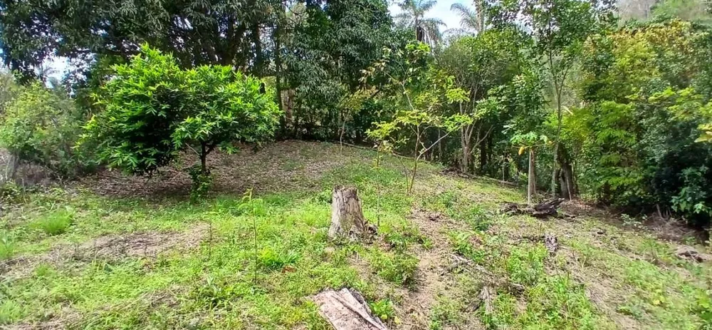 Sítio, 1 quarto, 4 hectares - Foto 36