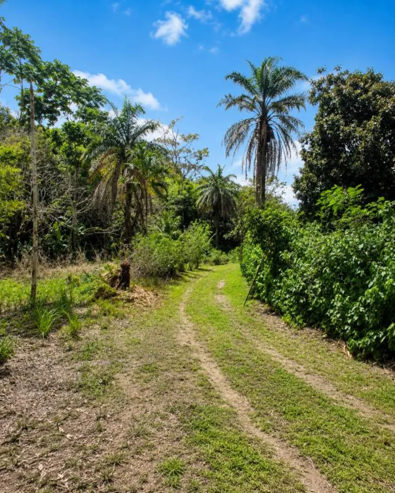 Sítio, 1 quarto, 4 hectares - Foto 67