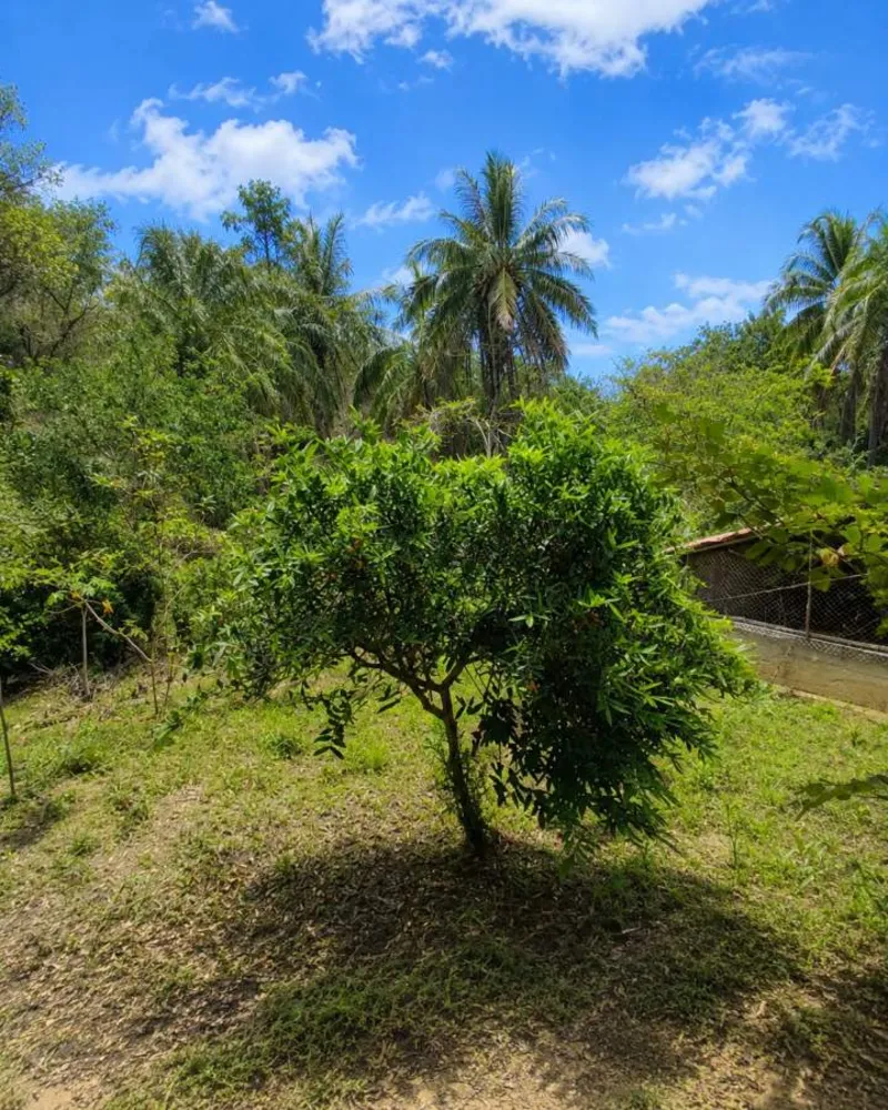 Sítio, 1 quarto, 4 hectares - Foto 43