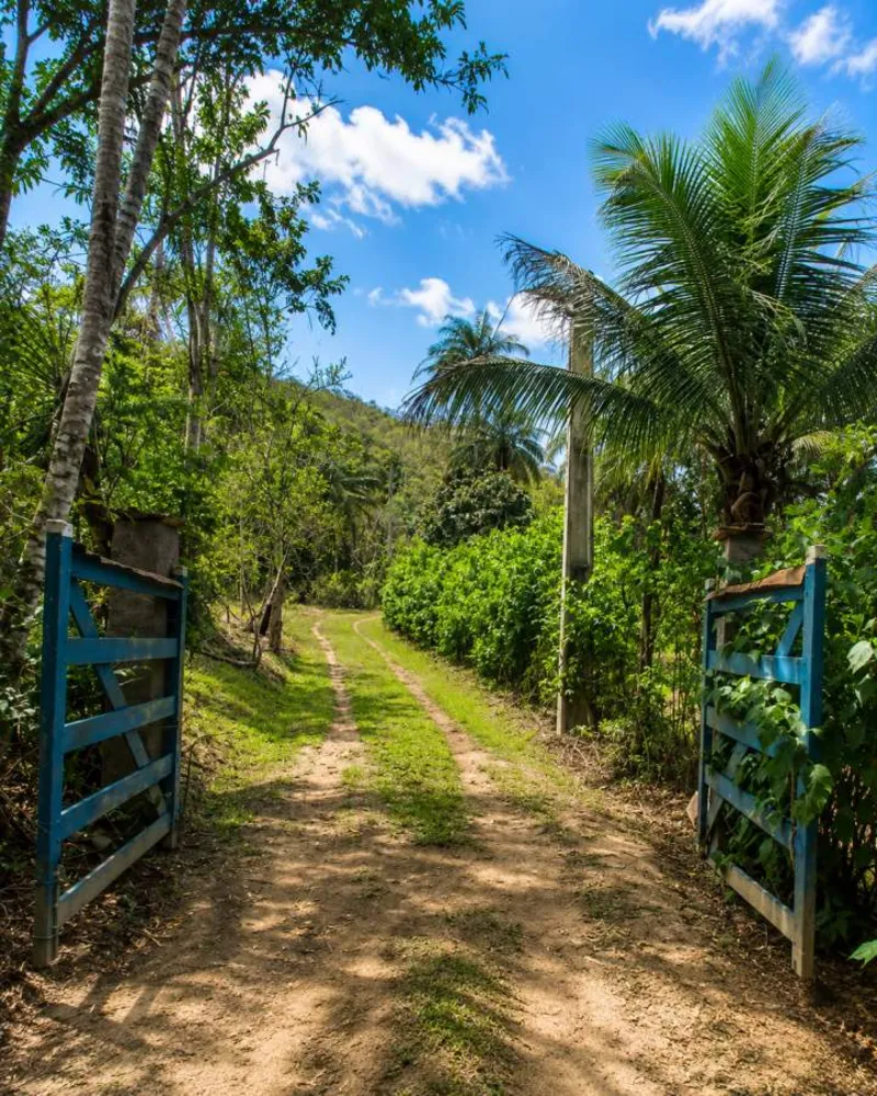 Sítio, 1 quarto, 4 hectares - Foto 41