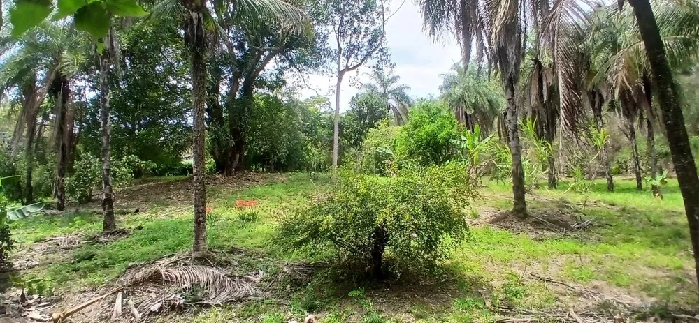 Sítio, 1 quarto, 4 hectares - Foto 35