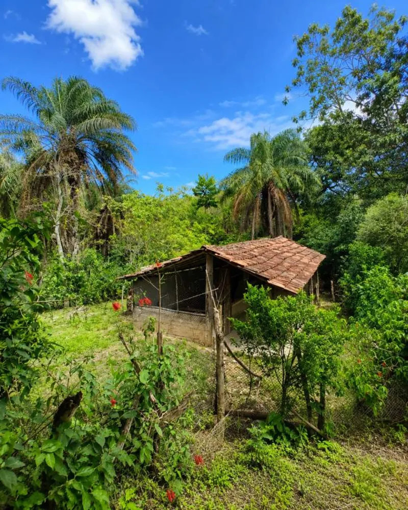 Sítio, 1 quarto, 4 hectares - Foto 66