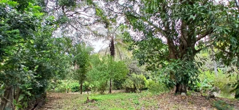 Sítio, 1 quarto, 4 hectares - Foto 15