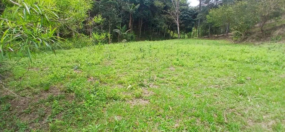 Sítio, 1 quarto, 4 hectares - Foto 3