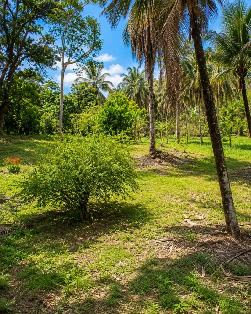 Sítio, 1 quarto, 4 hectares - Foto 65