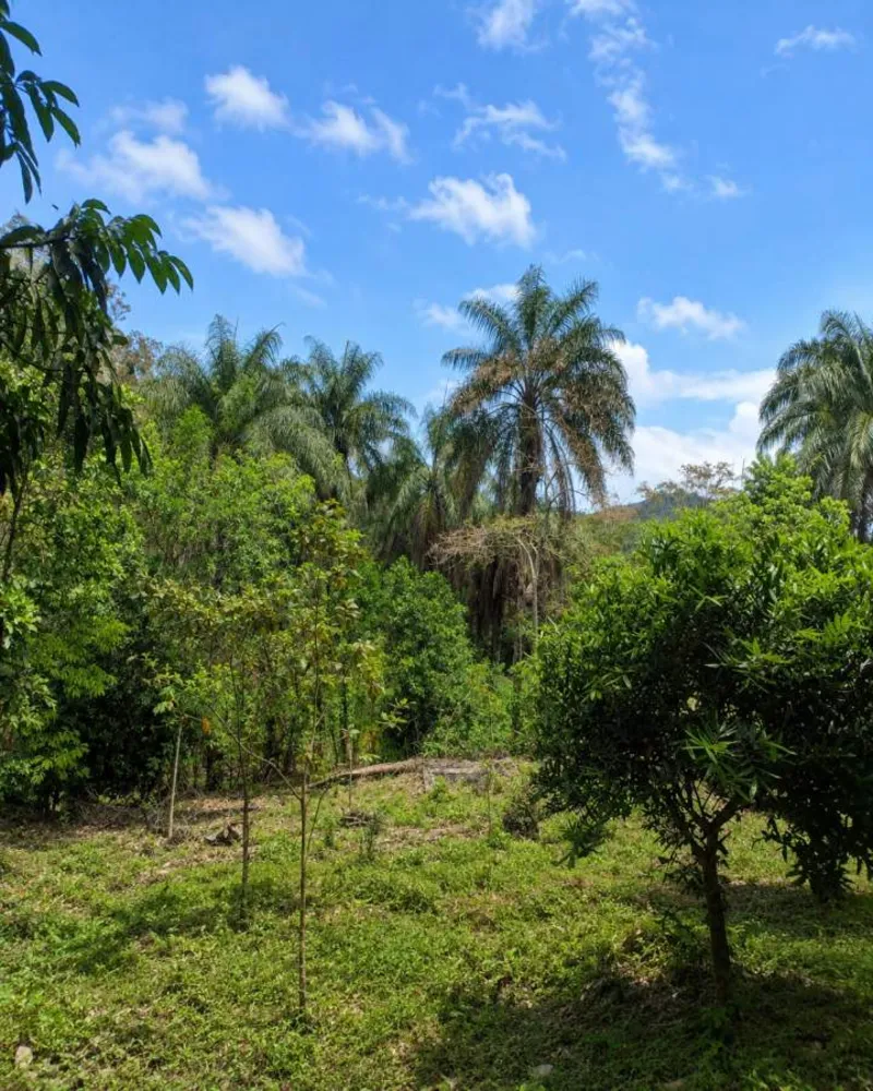 Sítio, 1 quarto, 4 hectares - Foto 42