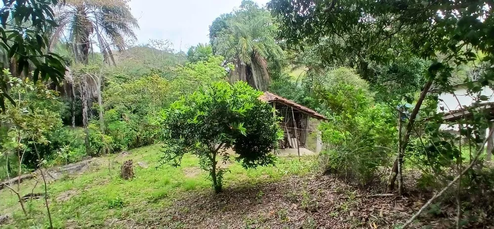 Sítio, 1 quarto, 4 hectares - Foto 4