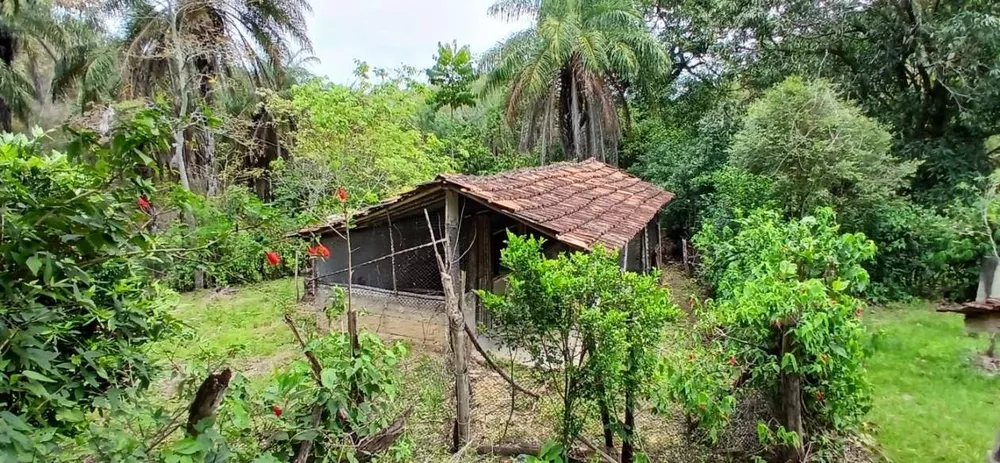 Sítio, 1 quarto, 4 hectares - Foto 9
