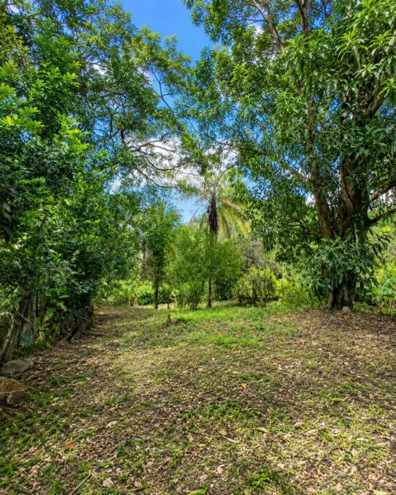 Sítio, 1 quarto, 4 hectares - Foto 40