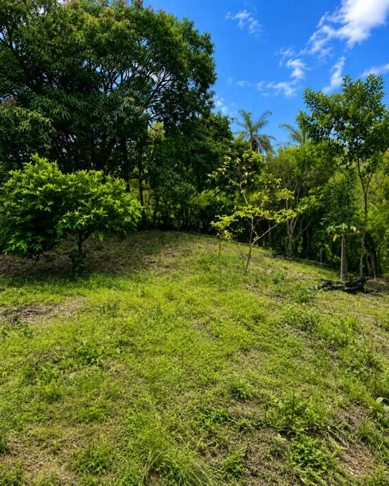 Sítio, 1 quarto, 4 hectares - Foto 48
