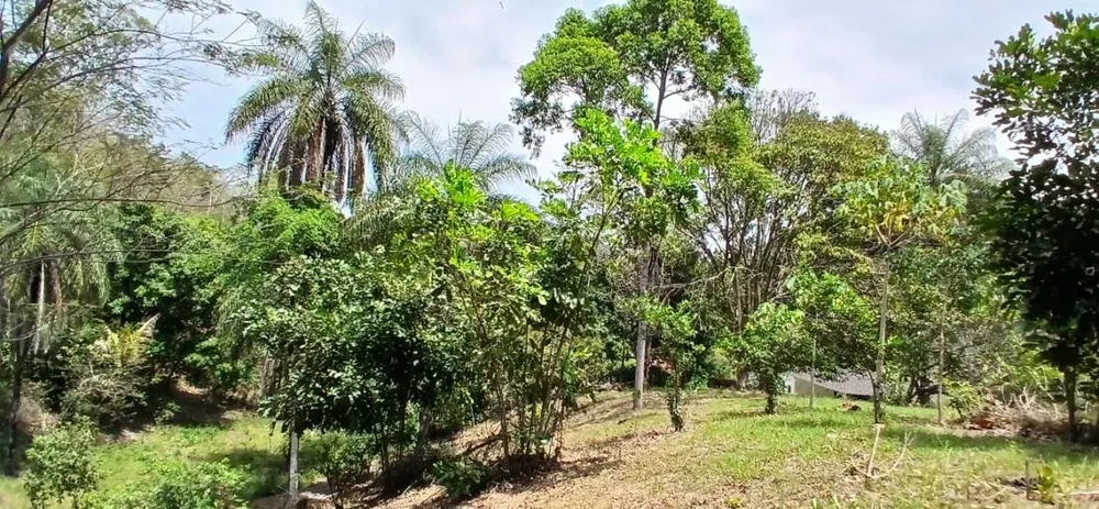 Sítio, 1 quarto, 4 hectares - Foto 21