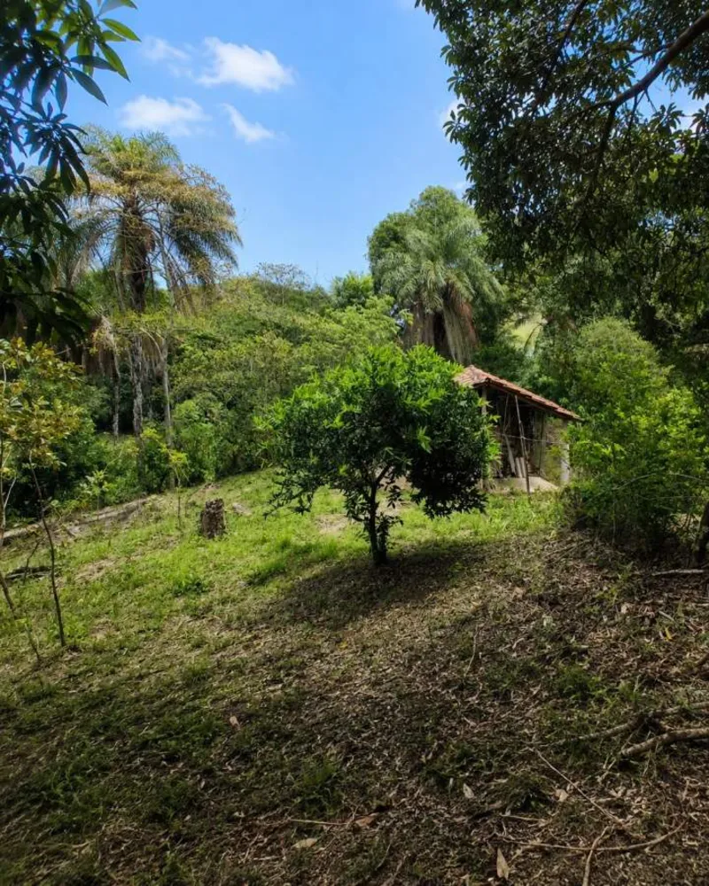 Sítio, 1 quarto, 4 hectares - Foto 47