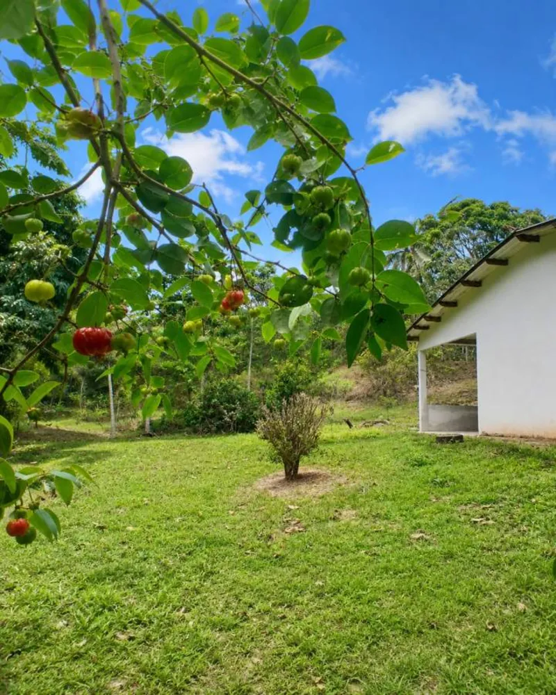 Sítio, 1 quarto, 4 hectares - Foto 44
