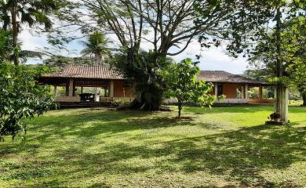 Fazenda, 11 hectares - Foto 2