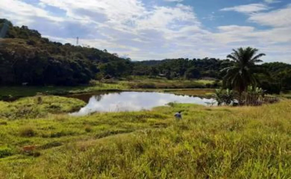 Fazenda, 11 hectares - Foto 15