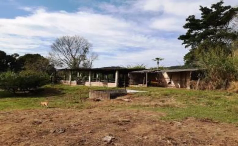Fazenda, 11 hectares - Foto 12
