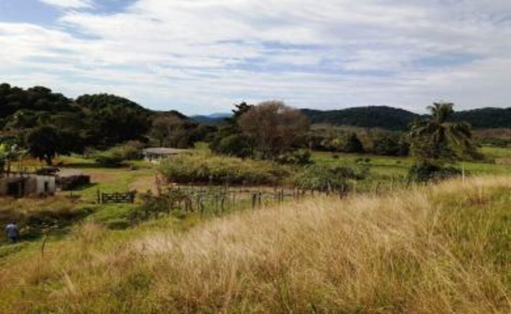Fazenda, 11 hectares - Foto 14