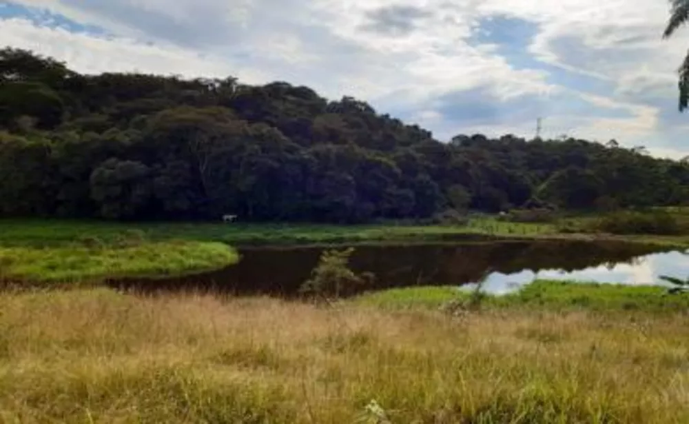 Fazenda, 11 hectares - Foto 16