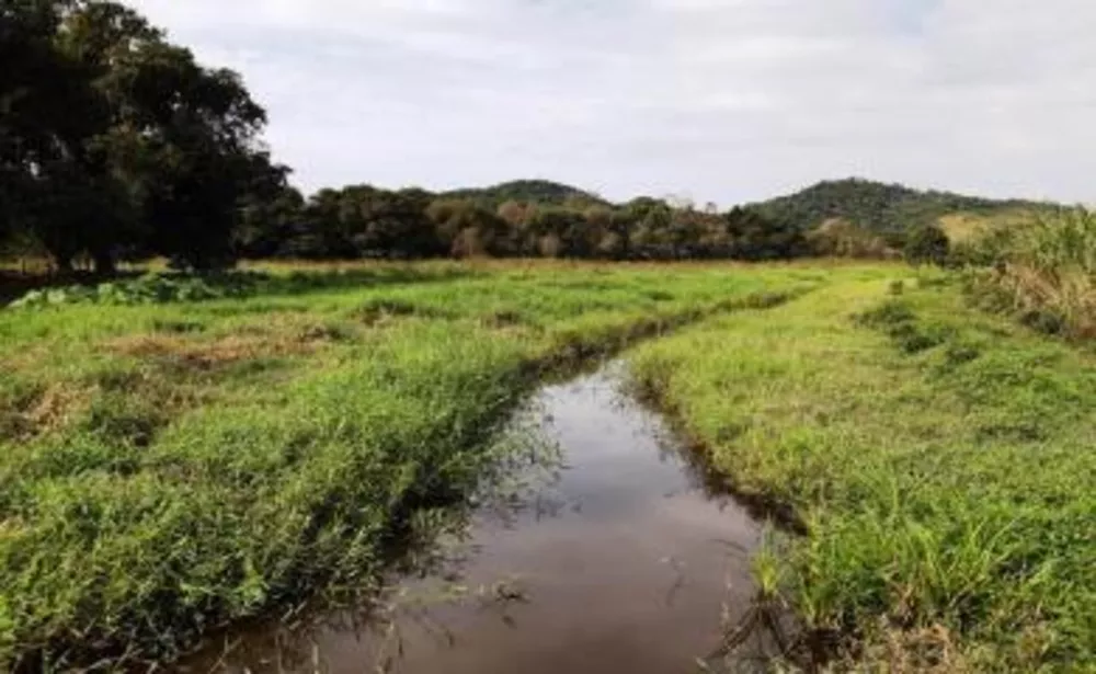 Fazenda, 11 hectares - Foto 13