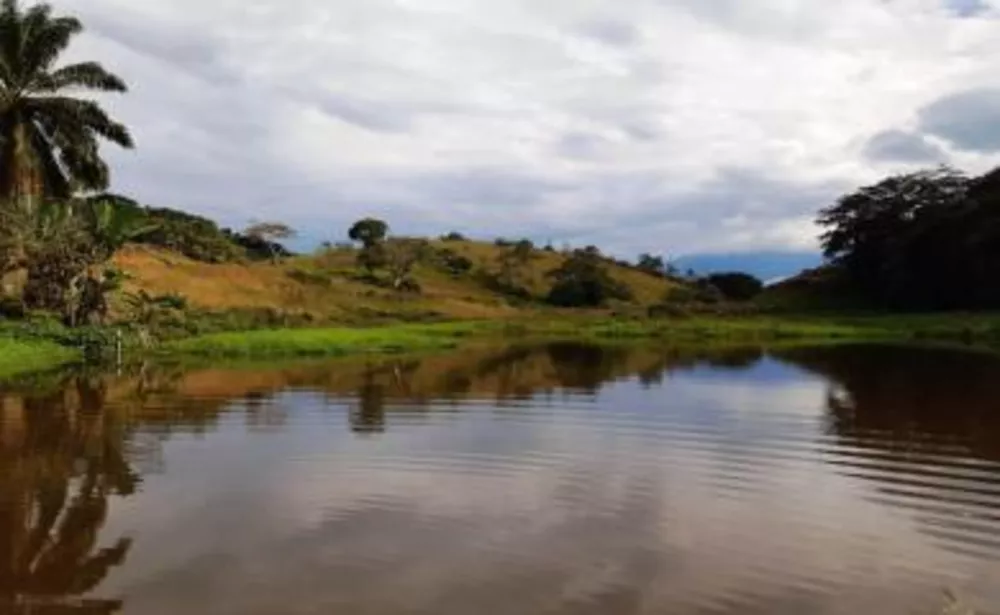 Fazenda, 11 hectares - Foto 11