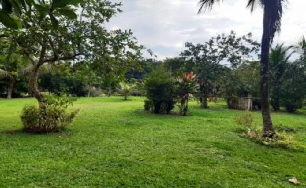 Fazenda, 11 hectares - Foto 4