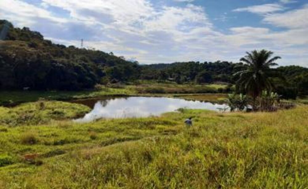 Fazenda, 11 hectares - Foto 1