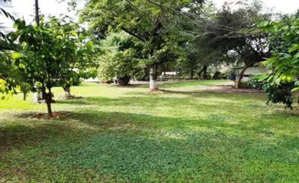 Fazenda, 11 hectares - Foto 7
