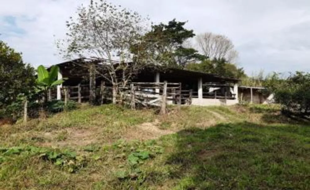 Fazenda, 11 hectares - Foto 10