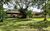 Fazenda, 11 hectares - Foto 2
