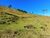Fazenda, 29 hectares - Foto 3