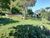 Fazenda, 29 hectares - Foto 4