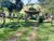 Fazenda, 29 hectares - Foto 2
