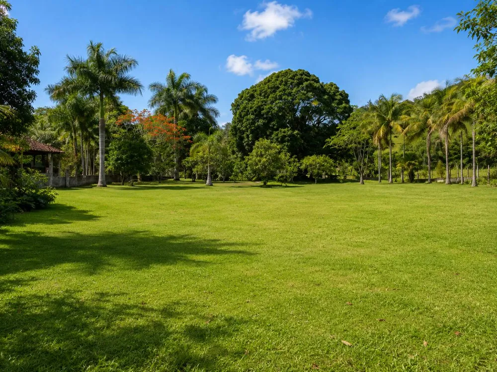 Sítio, 3 quartos, 10000 m² - Foto 48