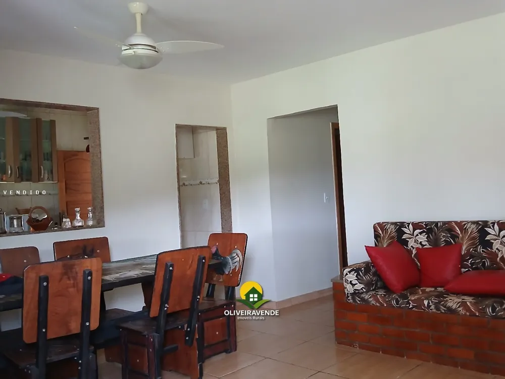 Sítio, 3 quartos, 10000 m² - Foto 30